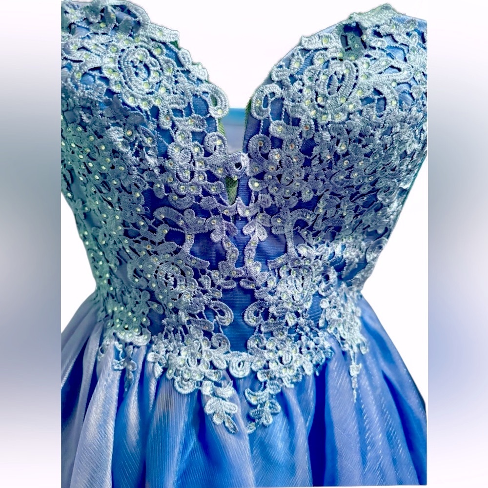 Rianna Couture Damas Dress - Picture 2 of 13